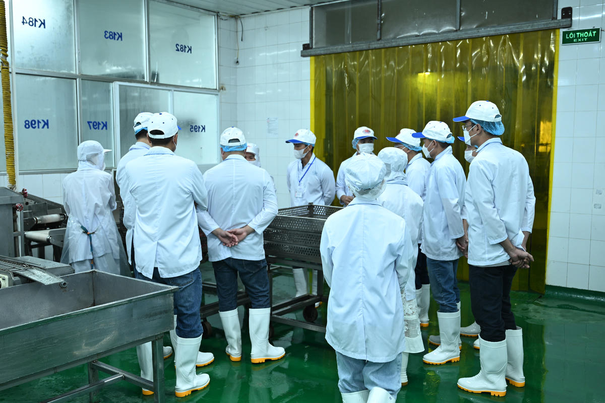 Các nhà phân phối của Hạ Long Canfoco trực tiếp tham quan dây chuyền sản xuất, khu vực chế biến, hệ thống kiểm soát chất lượng.