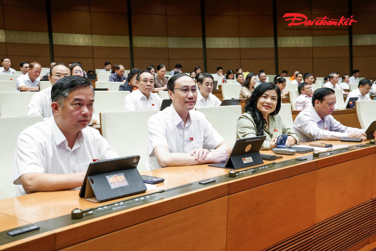 Các đại biểu tham dự phiên thảo luận (Ảnh: Quang Vinh)