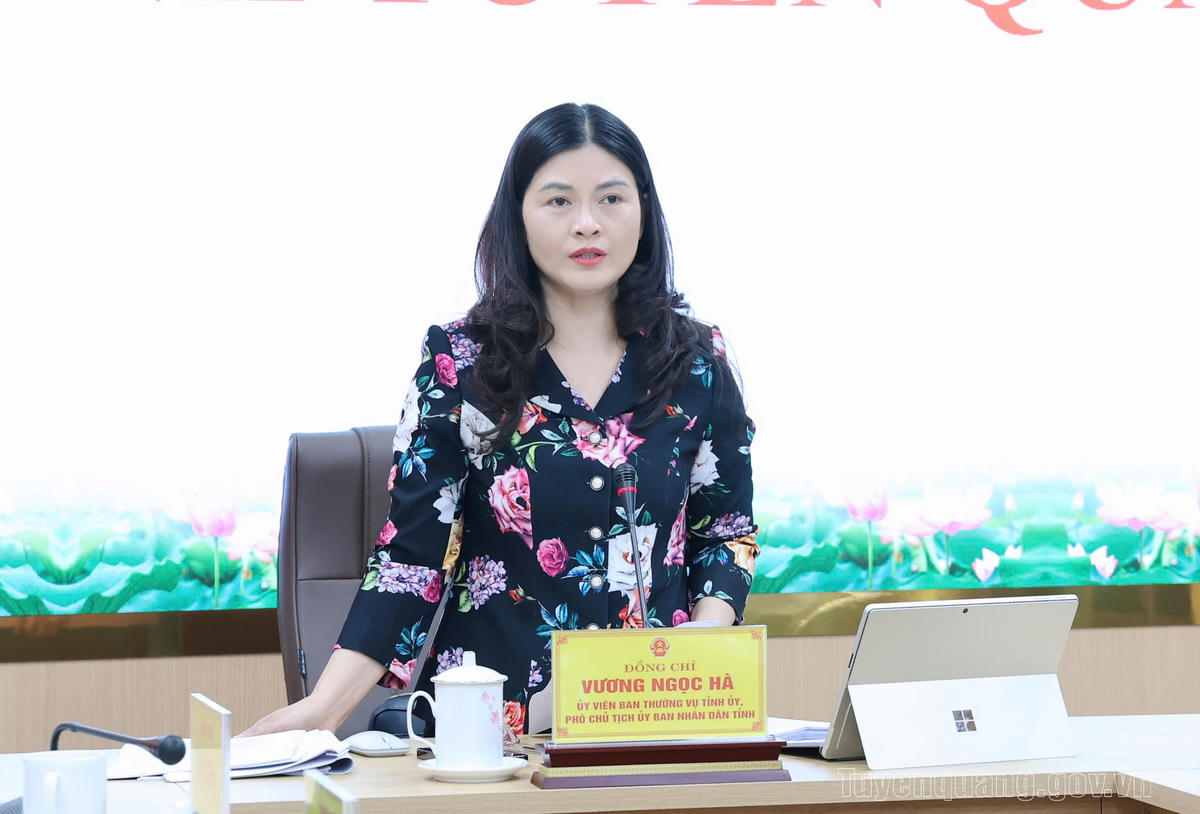 Phó Chủ tịch UBND tỉnh Tuyên Quang Vương Ngọc Hà tại một hội nghị ở Tuyên Quang. Ảnh: tuyenquang.gov.vn