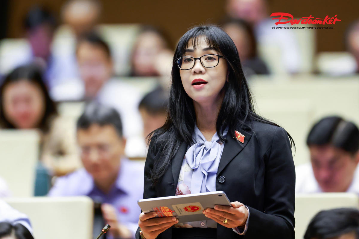 Đại biểu Trịnh Thị Tú Anh phát biểu (Ảnh: Quang Vinh)