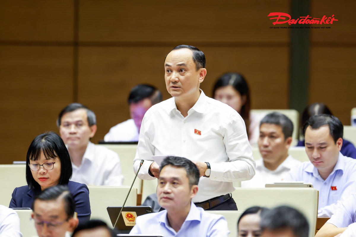 Đại biểu Nguyễn Ngọc Sơn phát biểu (Ảnh: Quang Vinh)