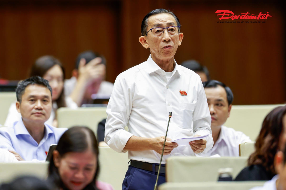Đại biểu Trần Hoàng Ngân phát biểu (Ảnh: Quang Vinh)