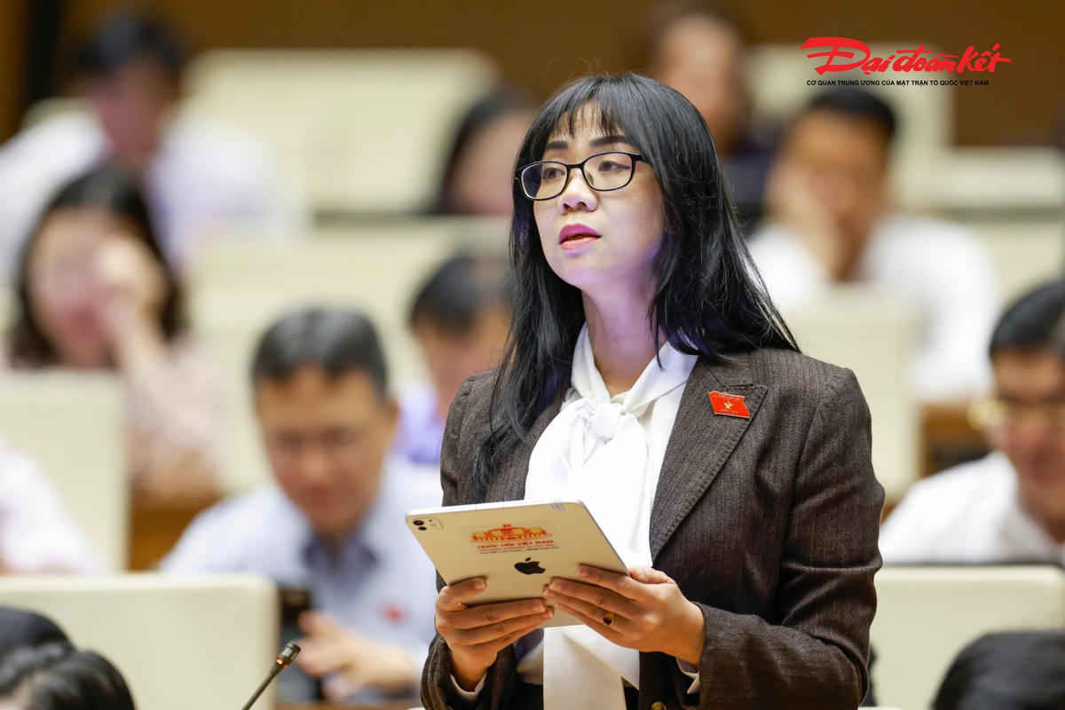 Đại biểu Quốc hội Trịnh Thị Tú Anh phát biểu (Ảnh: Quang Vinh)