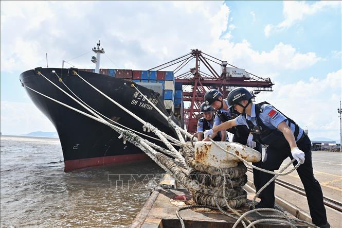 Kiểm tra dây neo của tàu thuyền trước khi bão Dolphin 
đổ bộ tại thành phố Ninh Ba, tỉnh Chiết Giang, 
miền Đông Trung Quốc, ngày 7/8/2026.
