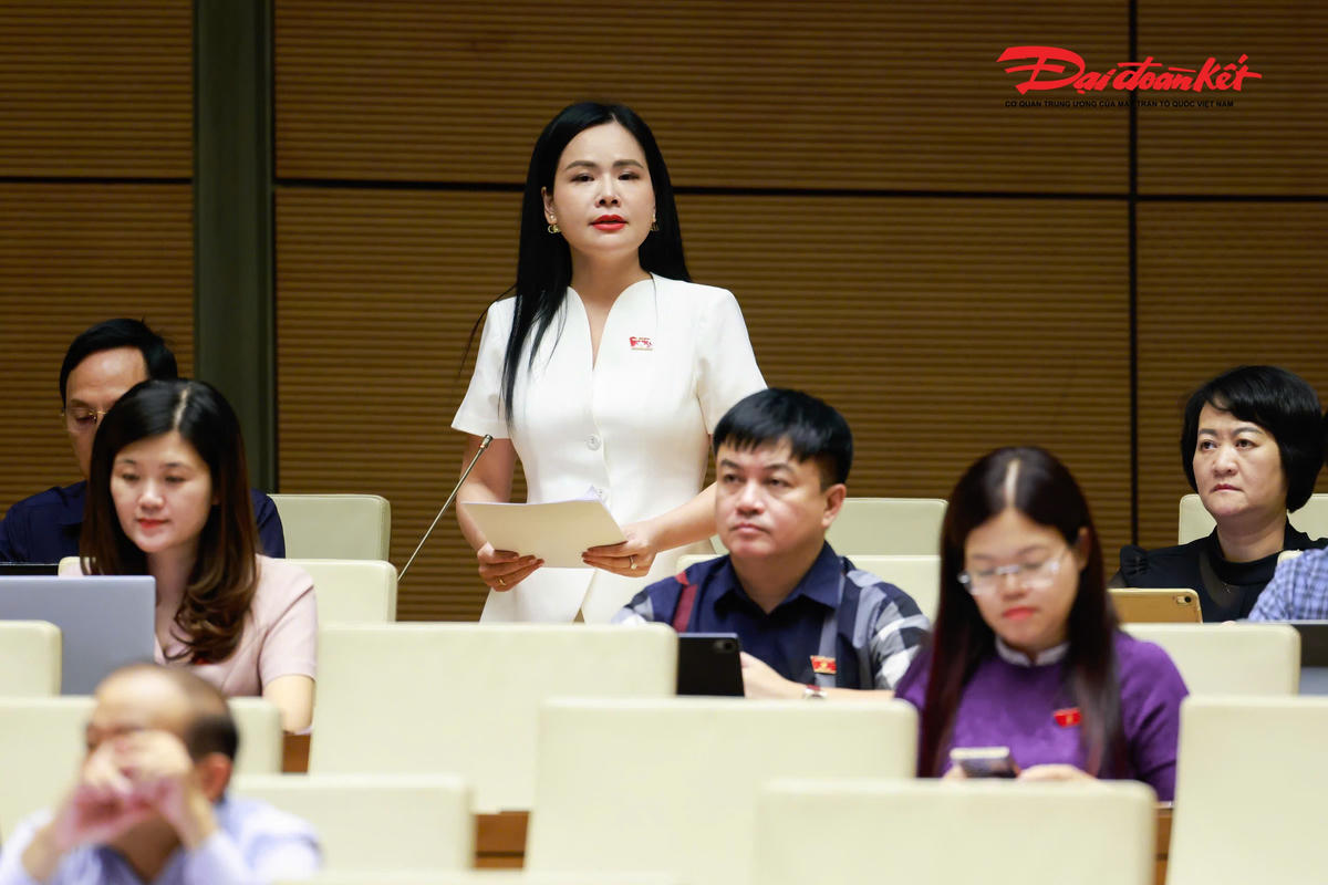 Đại biểu Nguyễn Thị Thanh Bình phát biểu (Ảnh: Quang Vinh)