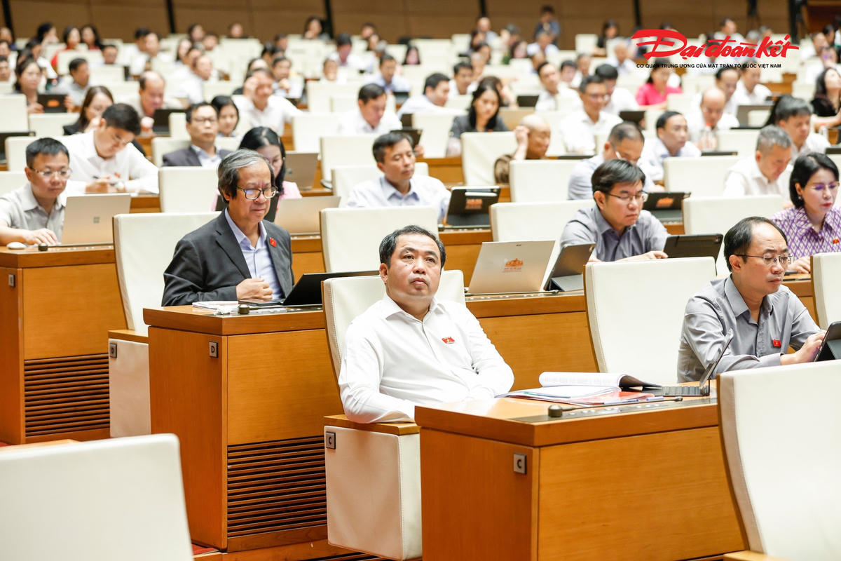 Các đại biểu dự phiên thảo luận sáng 9/8. (Ảnh: Quang Vinh)