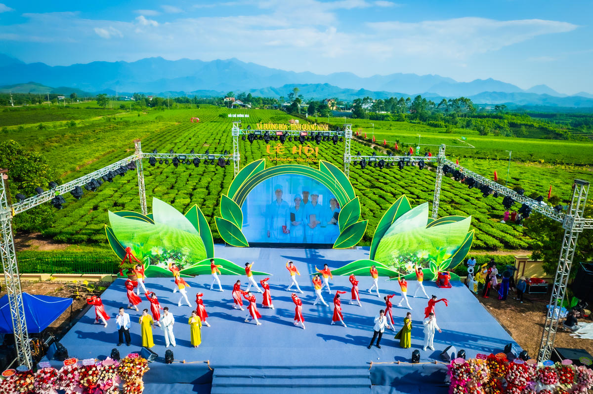 Quảng Ninh: Phát triển du lịch gắn với cây chè Đường Hoa