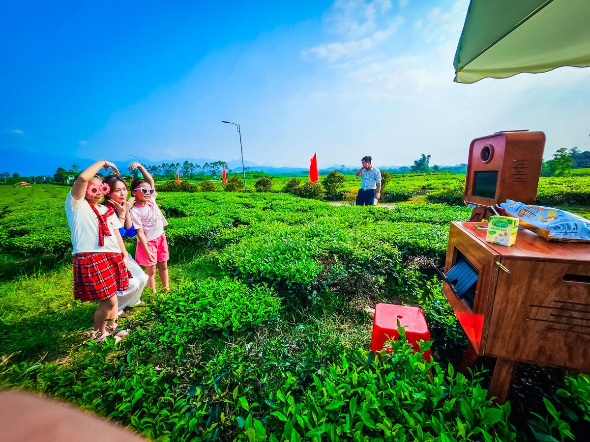 Quảng Ninh: Phát triển du lịch gắn với cây chè Đường Hoa