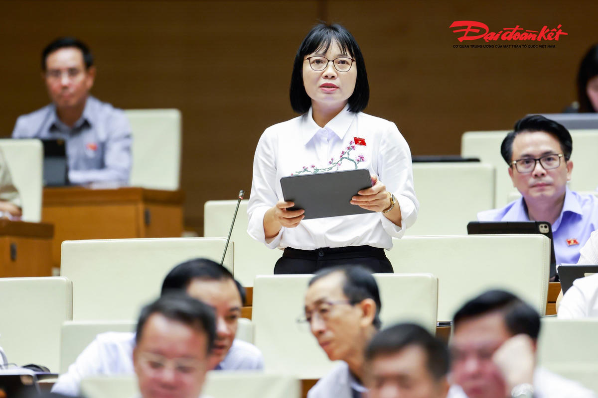 Đại biểu Quốc hội: Những nội dung liên quan đến chủ quyền quốc gia, lịch sử dân tộc, lãnh tụ cần có cơ chế kiểm soát nghiêm ngặt