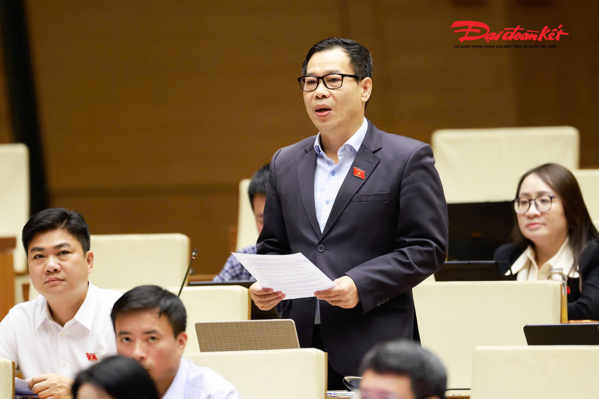Đại biểu Đỗ Đức Hồng Hà phát biểu (Ảnh: Quang Vinh)