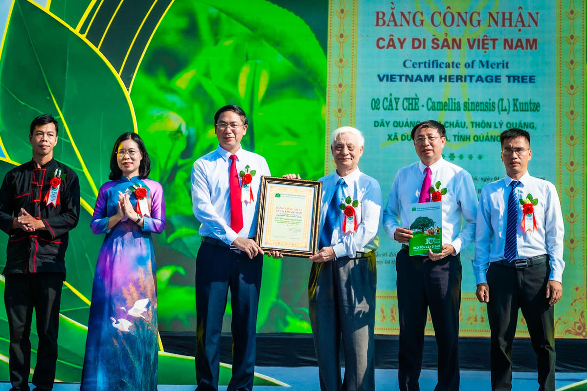 Quảng Ninh: Phát triển du lịch gắn với cây chè Đường Hoa