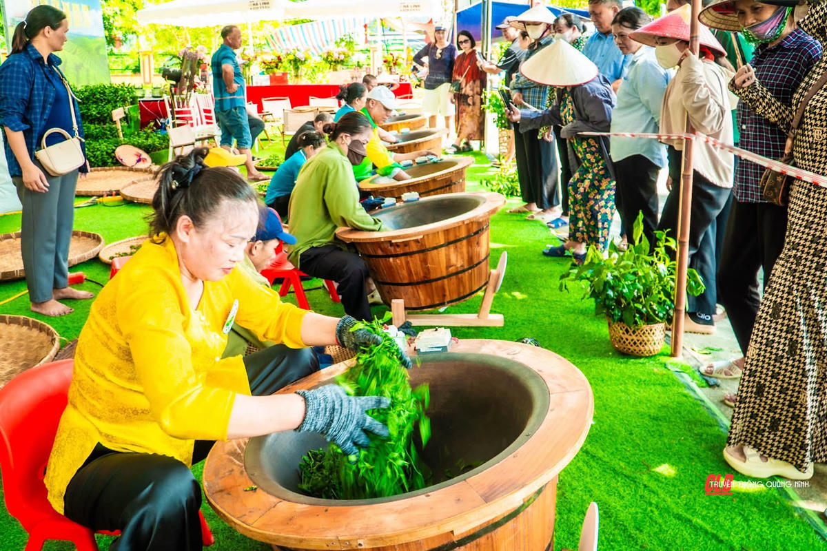 Quảng Ninh: Phát triển du lịch gắn với cây chè Đường Hoa
