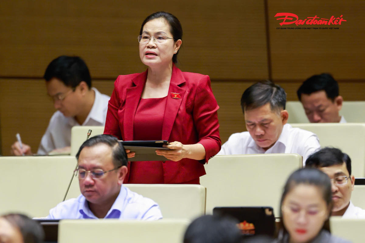 Đại biểu Nguyễn Thị Hồng Hạnh phát biểu (Ảnh: Quang Vinh)