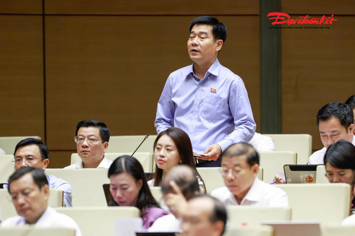 Đại biểu Quốc hội Lê Thanh Hoàn phát biểu. Ảnh: Quang Vinh