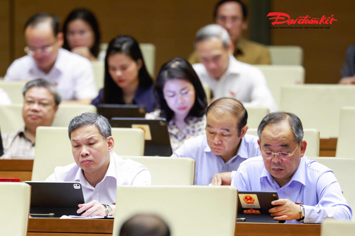 Các đại biểu dự phiên thảo luận. (Ảnh: Quang Vinh)