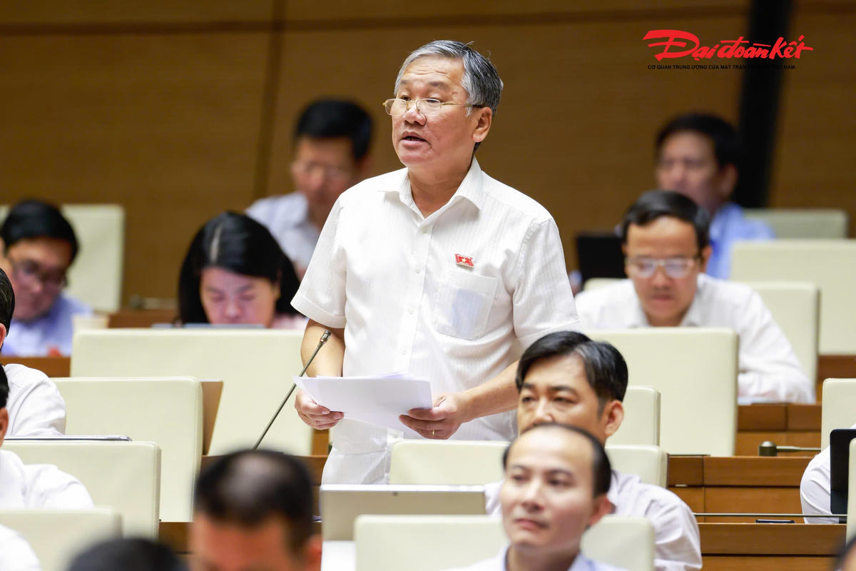 Đại biểu Quốc hội Trịnh Ngọc Phương phát biểu. Ảnh: Quang Vinh