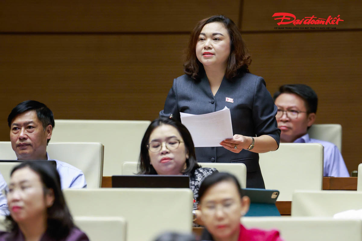 Đại biểu Đặng Bích Ngọc phát biểu (Ảnh: Quang Vinh)