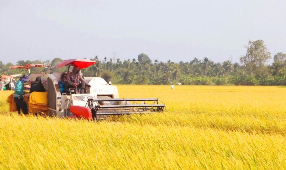 Cơ giới hóa được đẩy mạnh ở hầu hết các khâu sản xuất lúa.  Ảnh: Nguyên Du