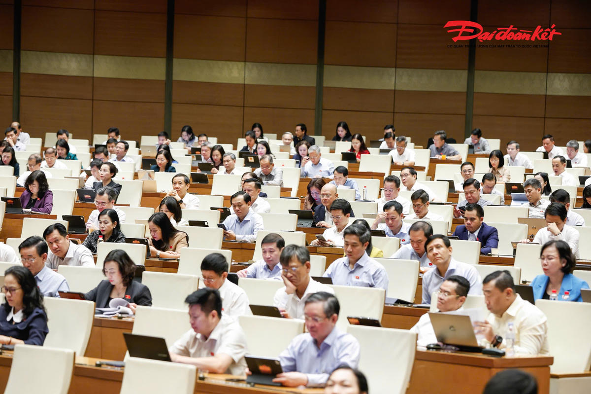 Các đại biểu dự phiên thảo luận. Ảnh: Quang Vinh