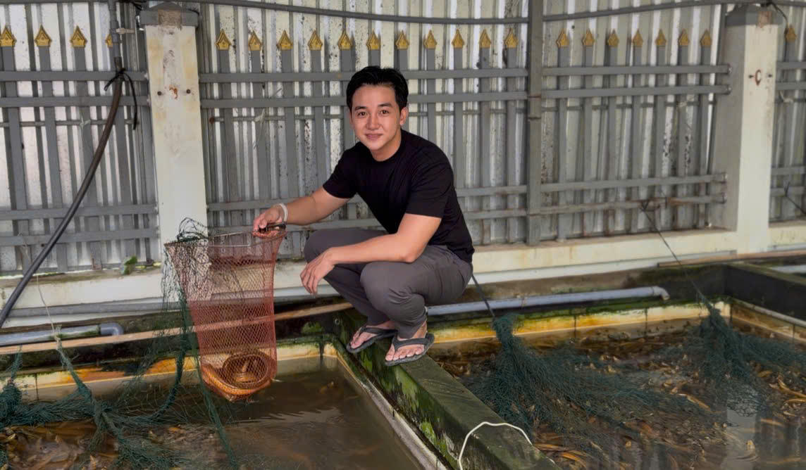 Hiện gia đình anh Nguyễn Hồng Phong sở hữu 15 hồ nuôi lươn không bùn; mỗi hồ thu hoạch 600-800kg, tùy kích cỡ. Ảnh Hồng Thắm