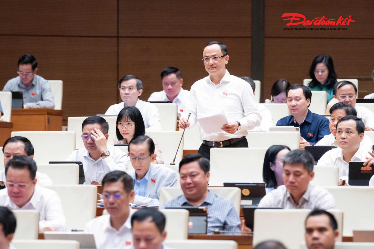 Đại biểu Nguyễn Ngọc Sơn phát biểu (Ảnh: Quang Vinh)