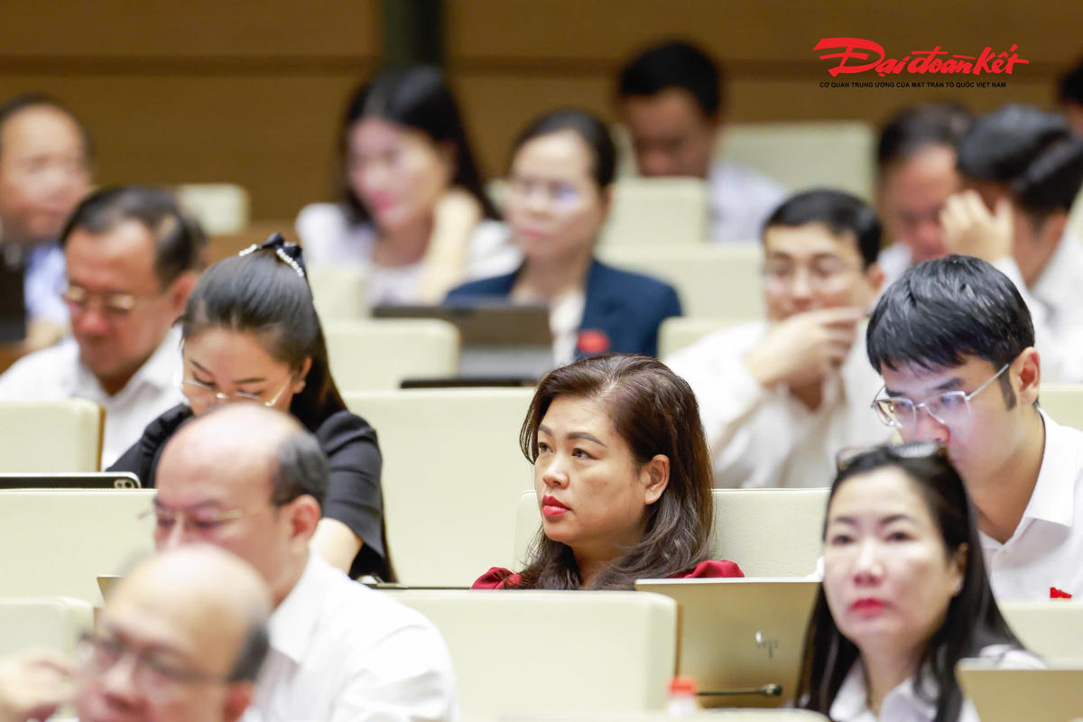 Các đại biểu dự phiên thảo luận. Ảnh: Quang Vinh