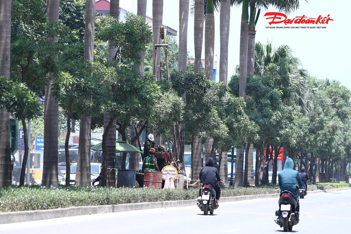 Theo giấy phép được cấp, tổng cộng 16 lỗ khoan khảo sát địa chất sẽ được thực hiện tại khu vực đường Lê Trọng Tấn và đường Văn Khê.