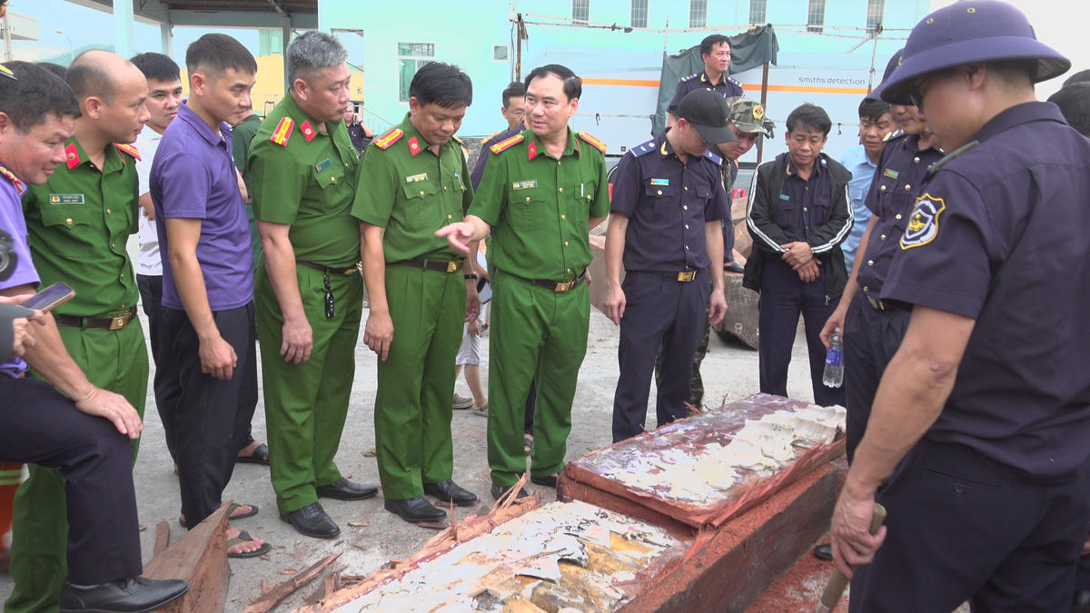 Số lượng ngà voi được cất giấu tinh vi trong 3 container gỗ. Ảnh: CA tỉnh Gia Lai.