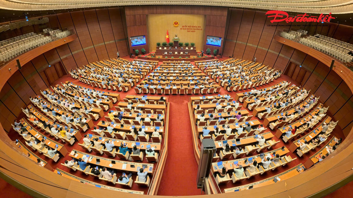 Toàn cảnh phiên thảo luận (Ảnh: Quang Vinh)