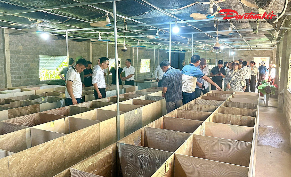 Đoàn phóng viên, nhà báo Trung ương và địa phương tại Nghệ An tham quan mô hình nuôi dúi trên địa bàn xã Vĩnh Tường.
