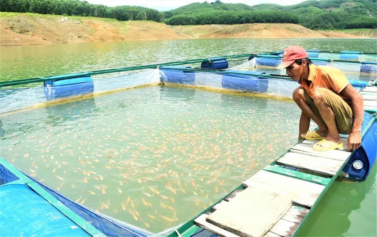 Đà Nẵng: Tận dụng lợi thế lòng hồ Sông Tranh để thoát nghèo