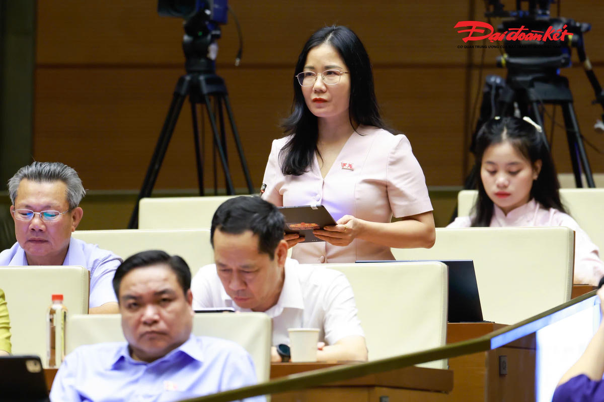 Đại biểu Nguyễn Thị Minh Tú phát biểu (Ảnh: Quang Vinh)