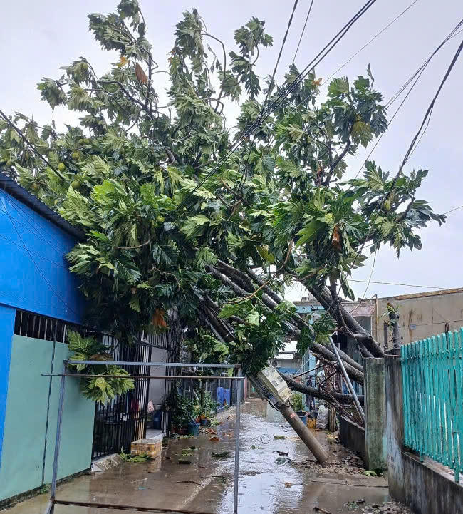 &nbsp;Không trú mưa, trú giông dưới cột điện, trạm biến áp, cây lớn hoặc công trình gần đường dây điện.
