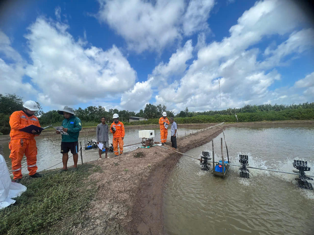 Thực hiện theo hướng dẫn của ngành điện đối với các đường dây điện sau đồng hồ chính.