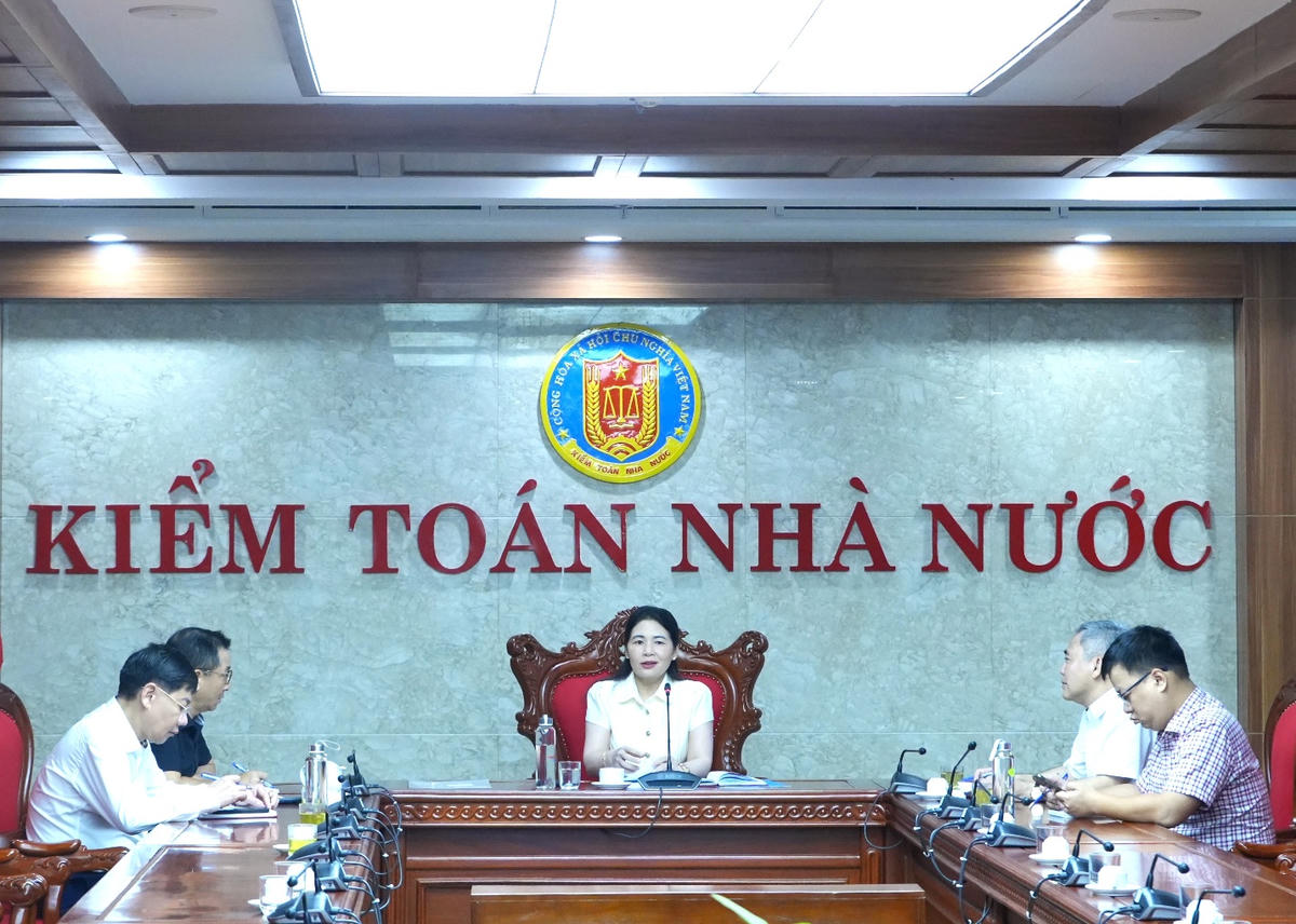 Tổng kết việc thực hiện Luật Kiểm toán nhà nước: Triển khai nhiệm vụ, phân công công việc cho các thành viên tiểu ban 4