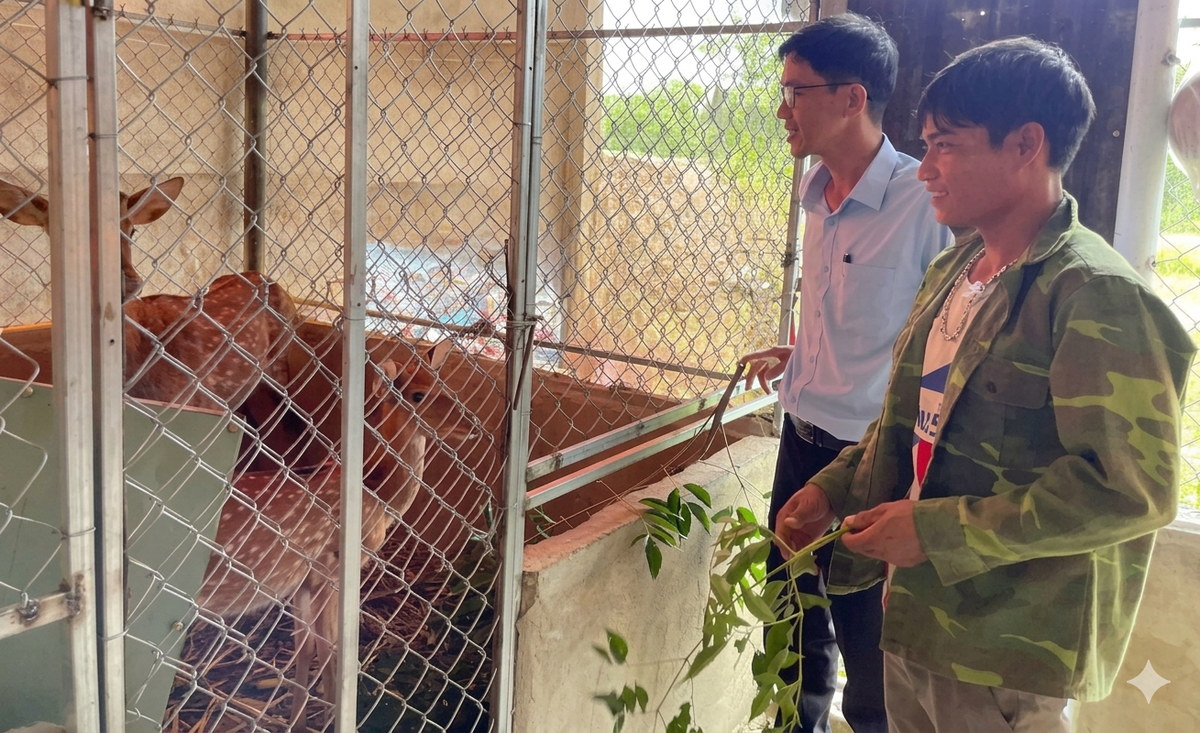 Anh Hồ Văn Hưng vui mừng bên đàn hươu vừa được hỗ trợ. Ảnh: Tấn Thành.