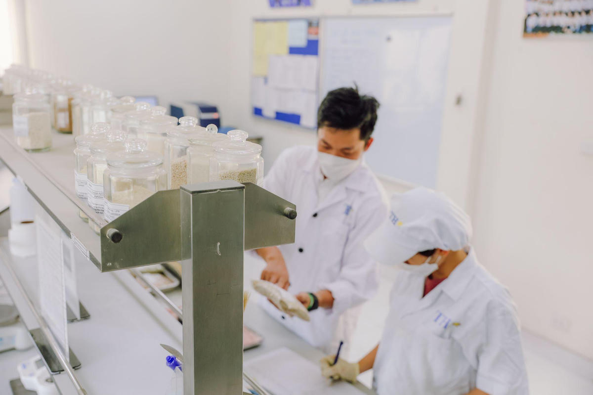 Một trong những giải pháp giảm phát thải tại trang trại TH là tối ưu khẩu phần ăn cho bò sữa nhằm giảm phát thải metan từ quá trình tiêu hóa