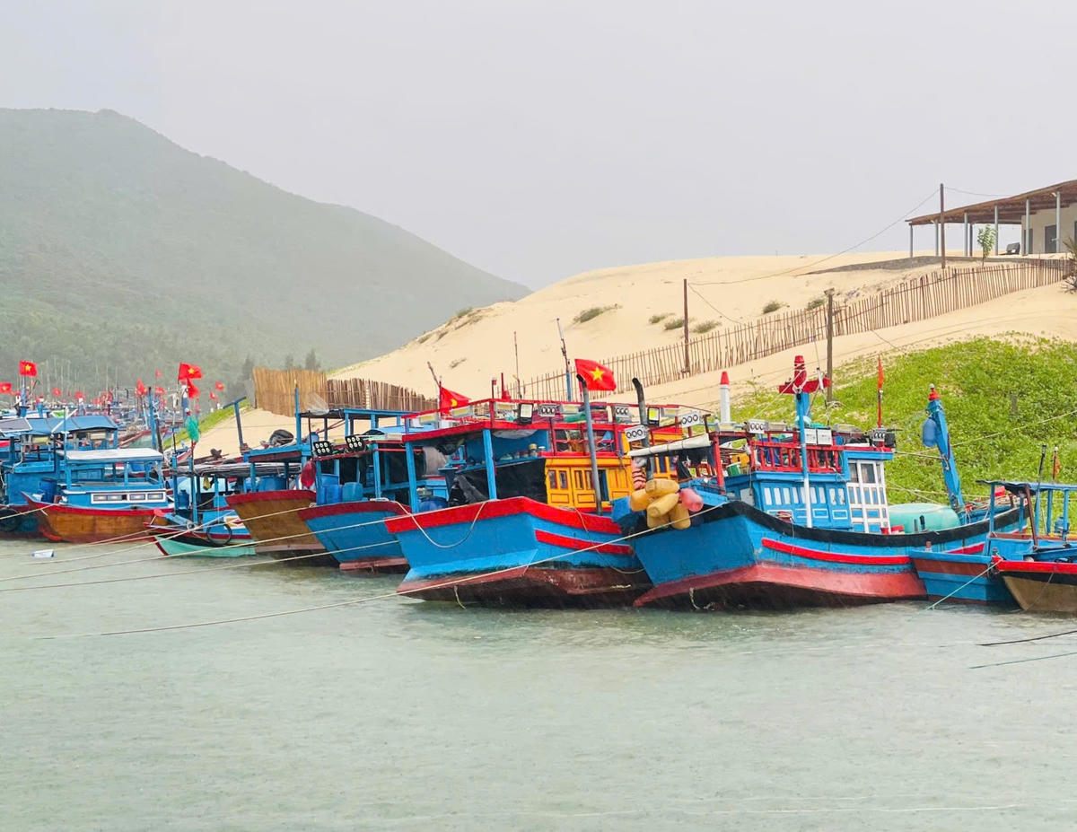 Tàu thuyền của xã Đại Lãnh được neo vào vị trí an toàn trong mùa mưa bão.
