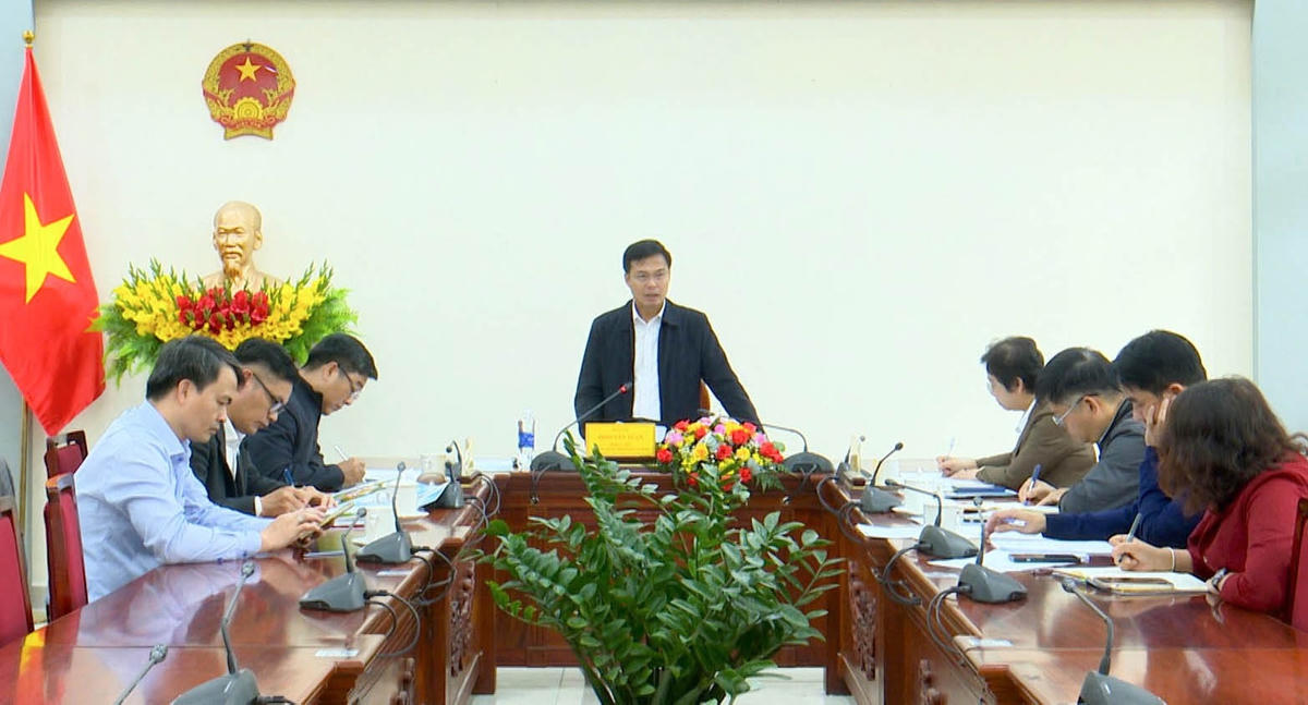 Ông Đinh Văn Tuấn, Phó Chủ tịch UBND tỉnh Lâm Đồng phát biểu tại buổi làm việc.