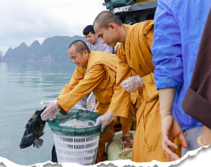 Phóng sinh và việc làm đúng cách của nhà Phật. Ảnh: Minh họa