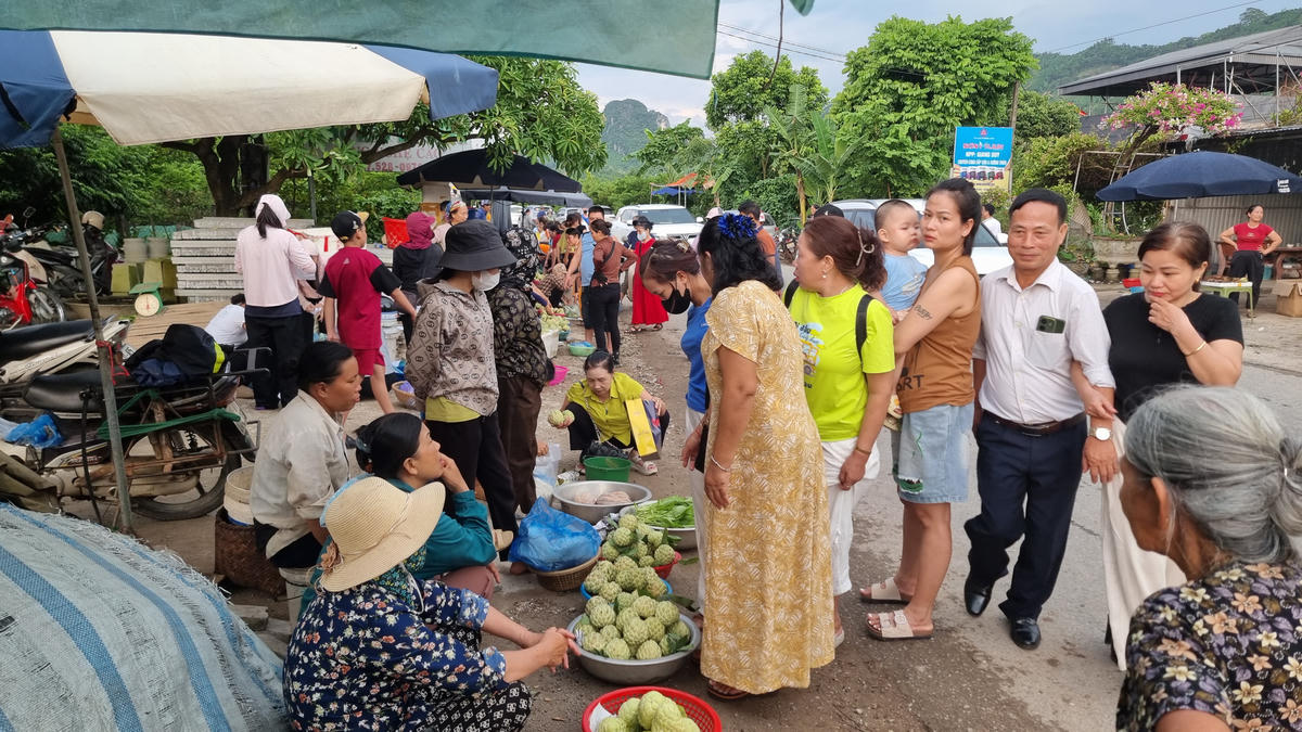 Hiện có 2 loại na được người dân trồng, một là na bản địa có giá từ 15.000 - 40.000 đồng/kg từ theo kích thước và chất lượng.