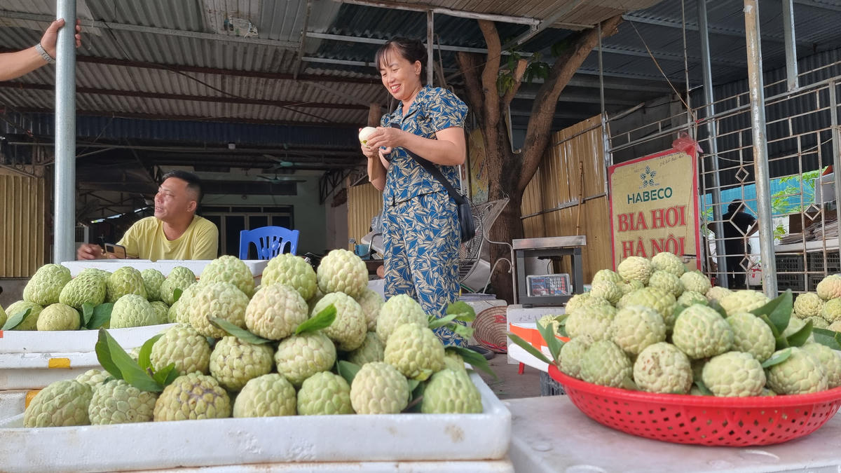 Loại na thứ 2 là na Thái có giá 45.000 - 60.000 đồng/kg, quả to trung bình từ 1 - 1,2 kg/quả, ăn ngon. Tuy nhiên nhược điểm là năng suất thấp hơn na bản địa.