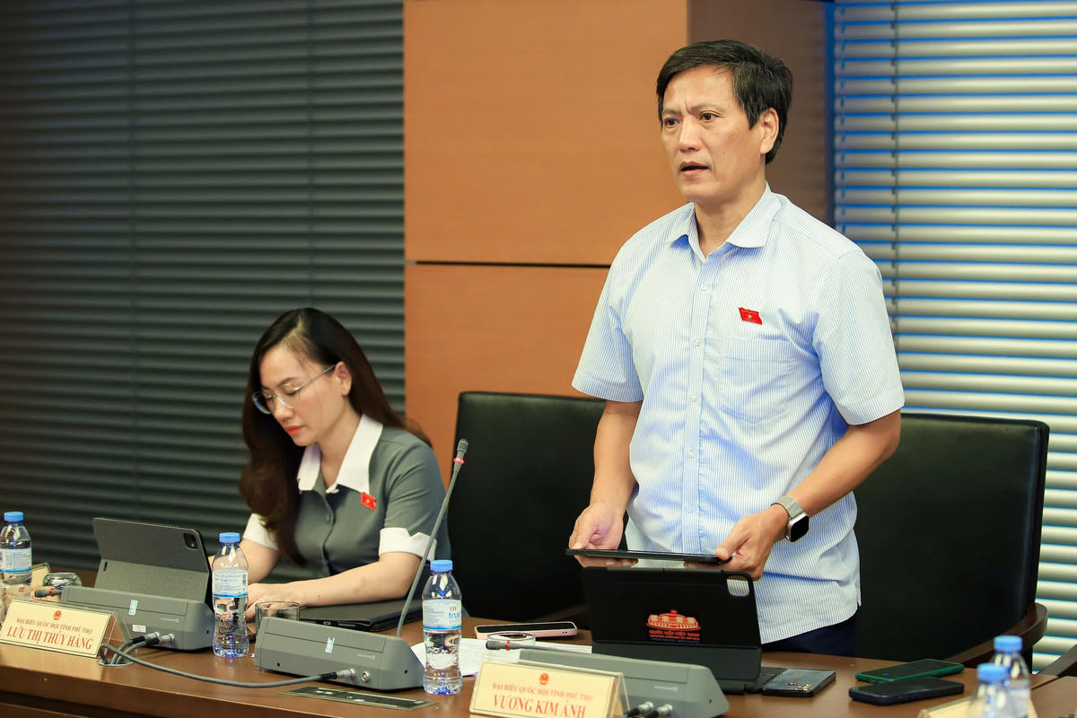 Đại biểu Vương Kim Ánh phát biểu (Ảnh: Quang Vinh)