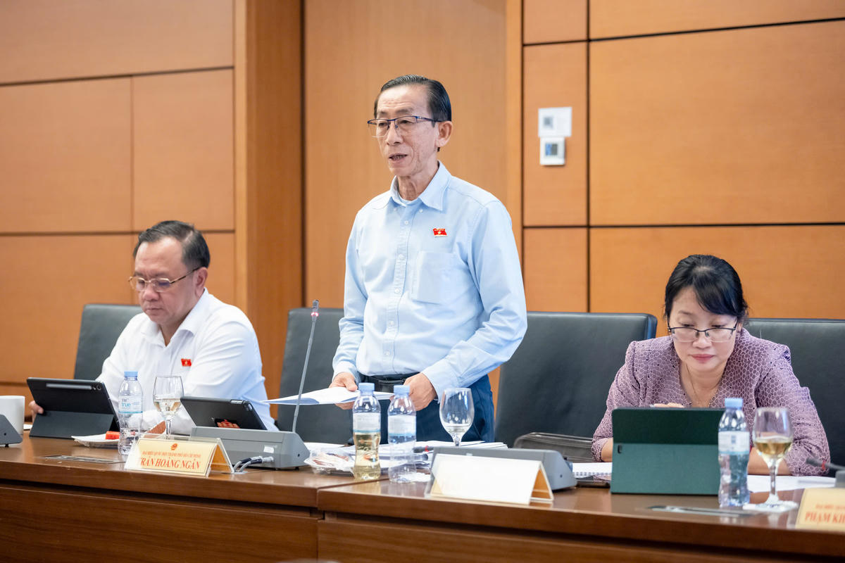 Đại biểu Trần Hoàng Ngân, đoàn TPHCM phát biểu. Ảnh: Minh Nam