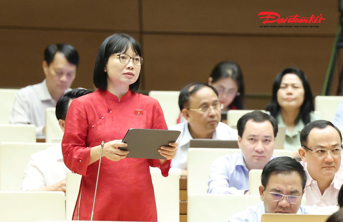 Đại biểu Nguyễn Thị Việt Nga đoàn TP Hải Phòng phát biểu