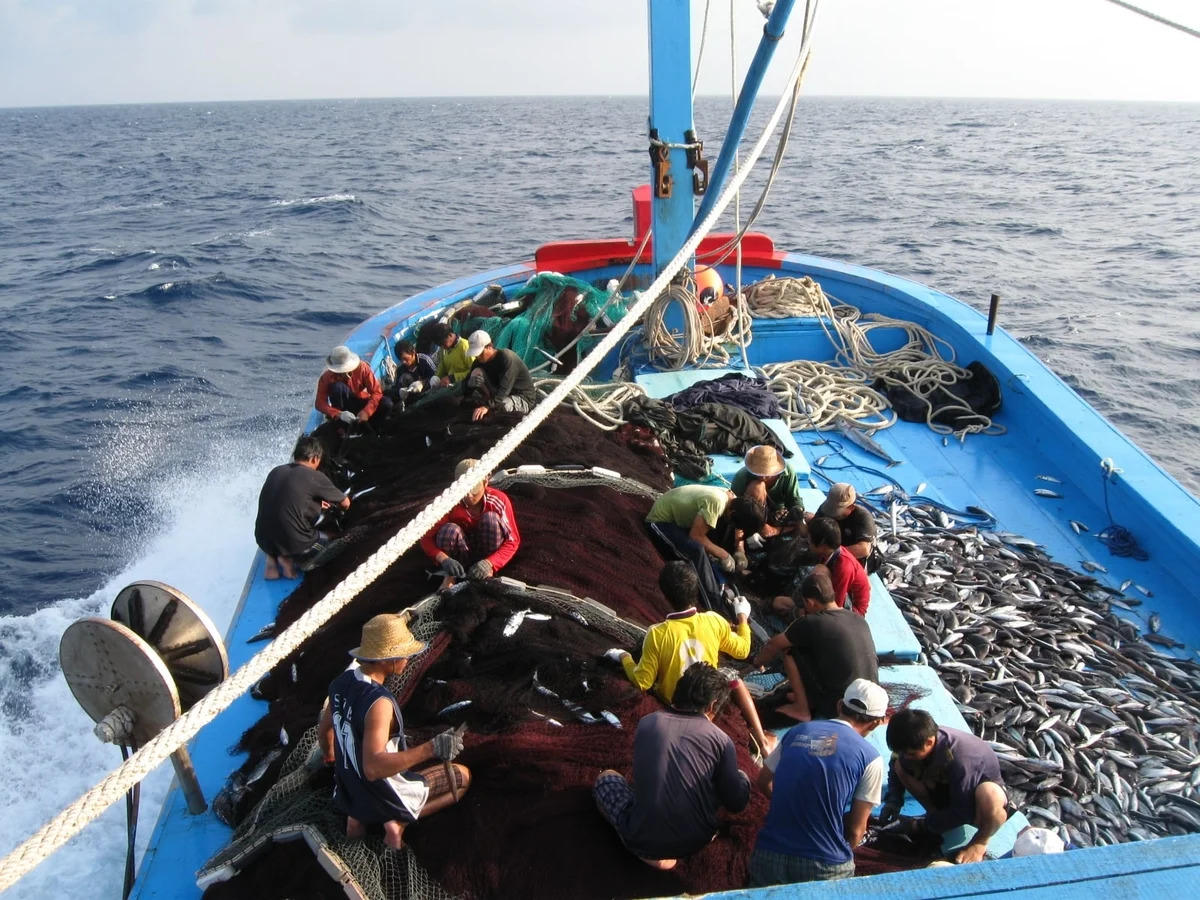Tháng cao điểm chống khai thác hải sản bất hợp pháp, không báo cáo và không theo quy định ( IUU) được triển khai trên phạm vi toàn quốc từ ngày 15/8 đến ngày 15/9/2026. Ảnh: NNMT&nbsp;
