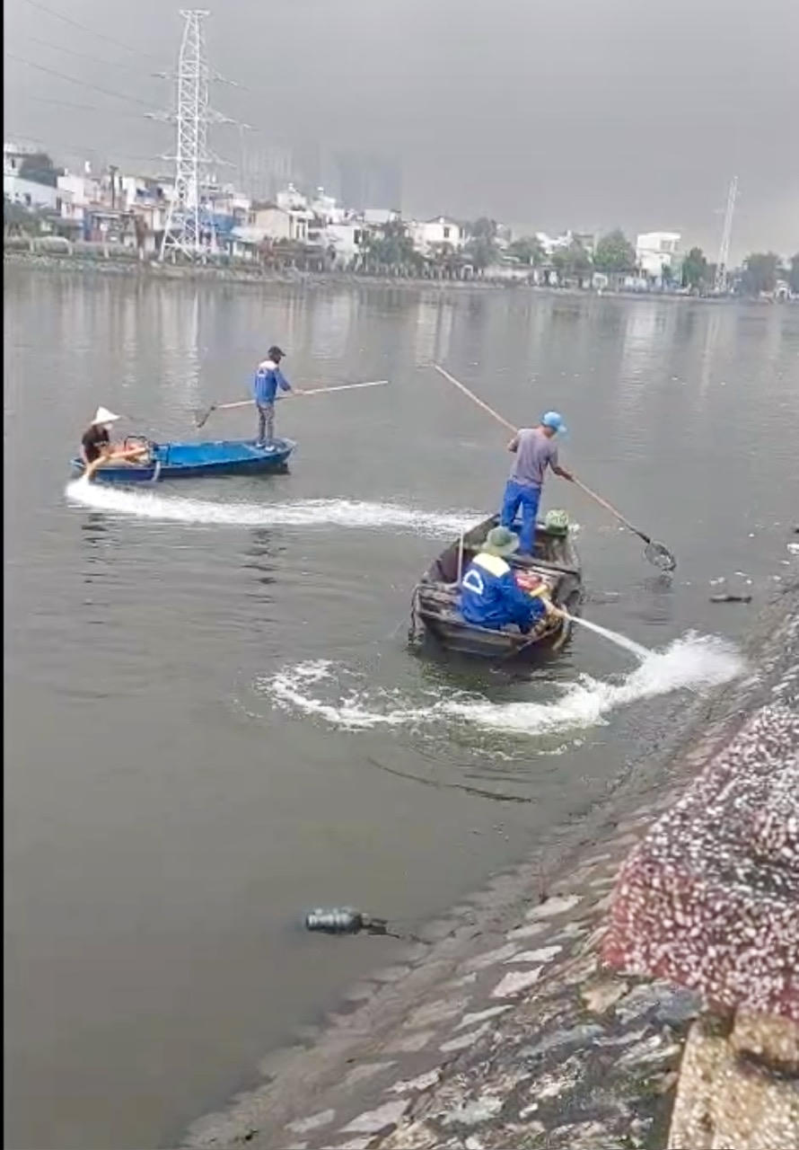 Hàng tấn cá chết tại nhiều hồ điều hòa ở Hải Phòng