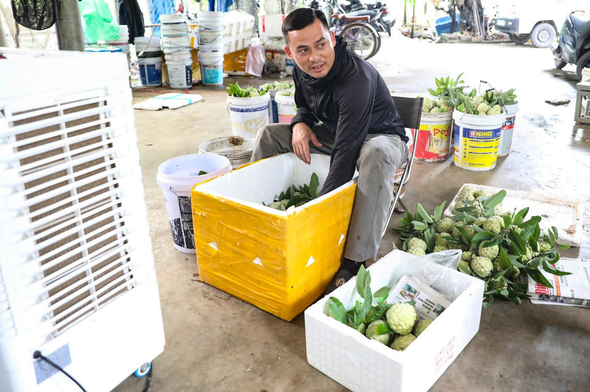 Anh Nguyễn Văn Tiến có ngày thu mua tới hơn 1 tấn na. Ảnh: Đình Minh