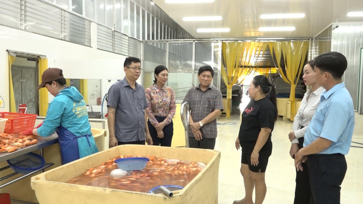 Phó chủ tịch UBND tỉnh Cà Mau Lê Văn Sử đã tham quan quy trình sản xuất, chế biến và đóng gói sản phẩm tôm càng xanh nguyên liệu xuất khẩu tại Công ty Tùng Loan. Ảnh: Nguyên Du