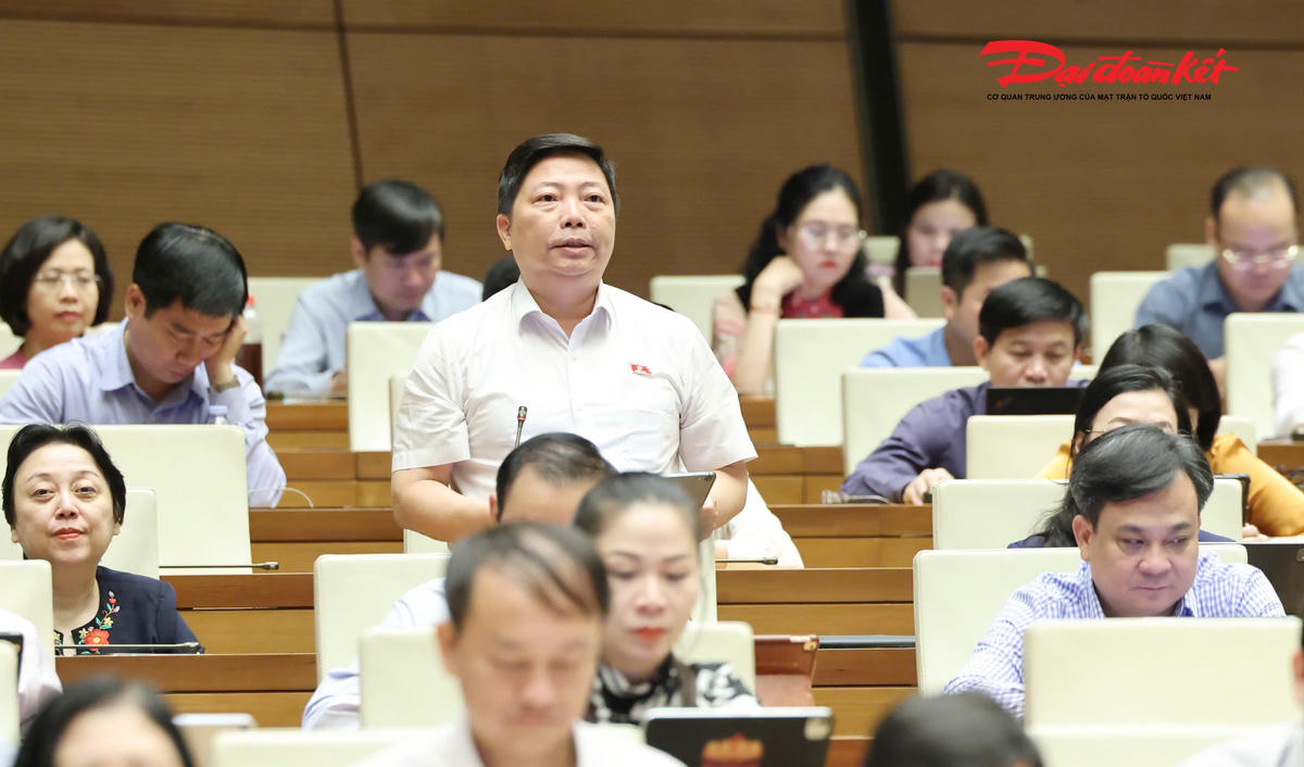 Đại biểu Nguyễn Vũ Trung đoàn TP Hồ Chí Minh phát biểu